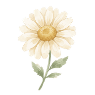 Daisy